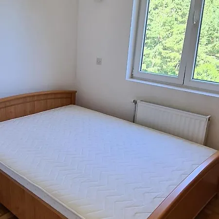 Apartment U Brzecu - *